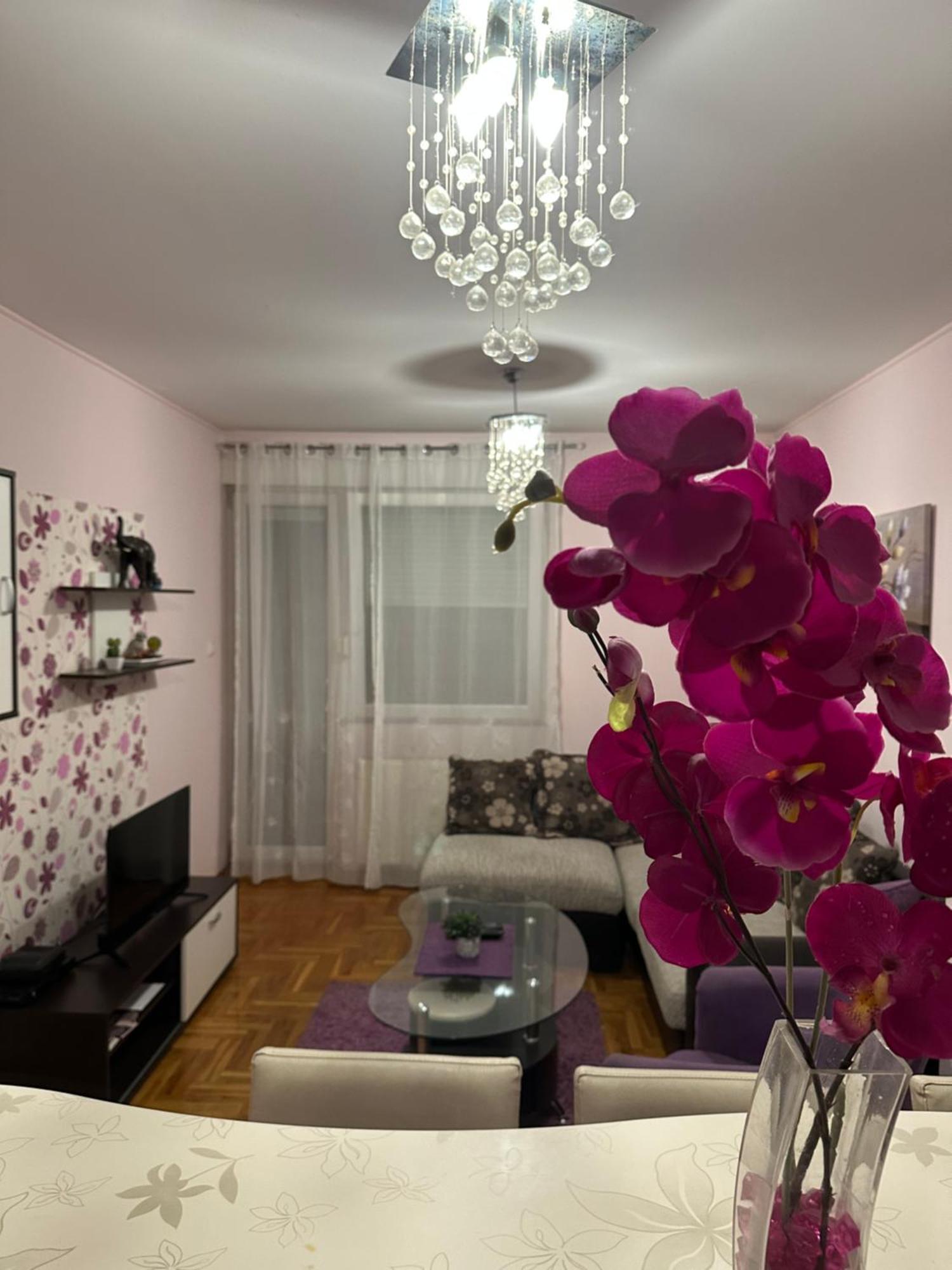 דירות נובי סאד Apartman Ivana מראה חיצוני תמונה