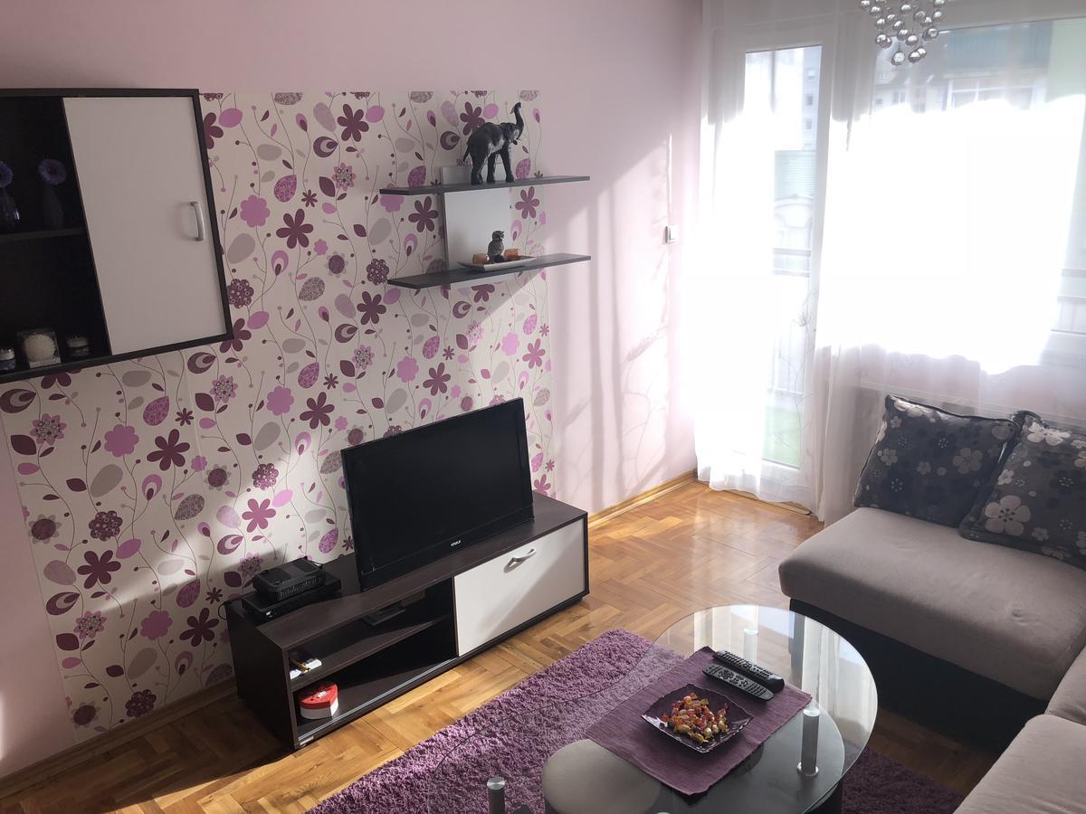 דירות נובי סאד Apartman Ivana מראה חיצוני תמונה