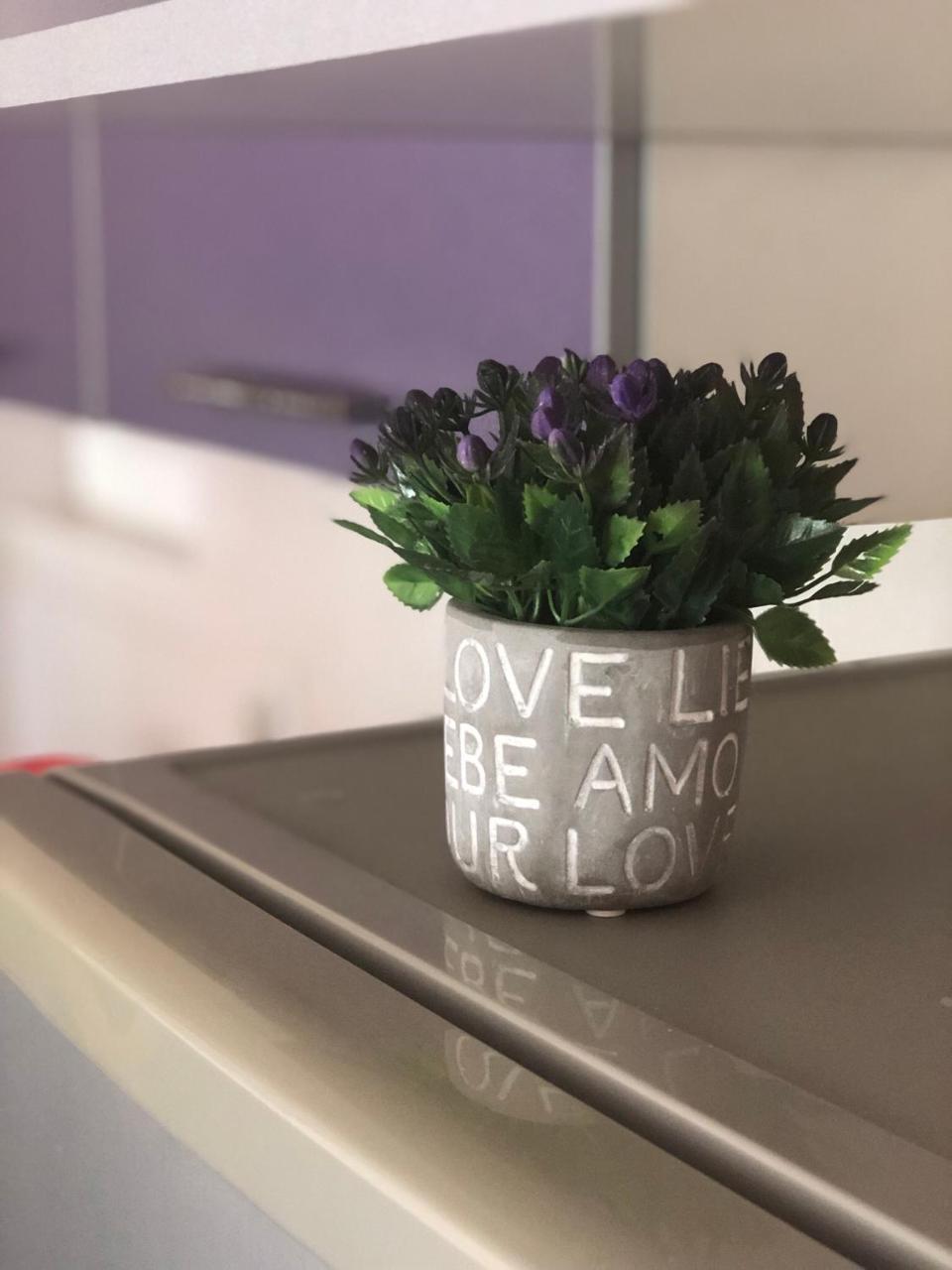 דירות נובי סאד Apartman Ivana מראה חיצוני תמונה